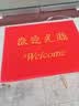豪思克普 欢迎光临地垫 加厚防滑垫除尘刮泥吸水防滑地垫丝圈入户垫子办公室公司门口店铺迎宾地毯进门脚垫 80*120cm 实拍图