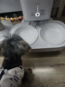 霍曼（Homerun）宠物智能自动喂食器猫粮定时猫咪自动投食机陶瓷双碗增高版PF20 实拍图