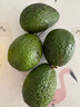 京鲜生 智利进口牛油果 大果4粒装 单果130g+（非即食） 生鲜水果 实拍图