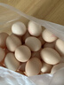 圣迪乐村 可生食营养新鲜鸡蛋30枚年货礼盒装净重3斤 京东自营生鲜鸡蛋 实拍图
