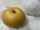 京鲜生 青青大地莱阳羊脂秋月梨 净重4.5斤 6-8粒 生鲜水果 礼盒装 实拍图