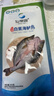 仙泉湖三去白蕉海鲈鱼1斤/条净膛冷冻刺少肉厚珠海特产500g生鲜年货食材 实拍图