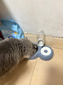 甜浪海猫碗双碗自动喂食器不锈钢狗盆幼猫吃饭喝水防打翻饮水机宠物食盆 实拍图