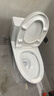 TOTO马桶CW817REB节水连体卫生间冲落式主体陶瓷智洁座便器(04-A) CW817【极漩式冲水】 305坑距 实拍图