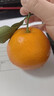 泰汇吃四川春见耙耙柑新鲜水果整箱孕妇橘子时令柑橘 净重4.5斤精选单果140g++ 实拍图