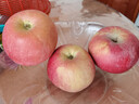 京鲜生新疆阿克苏苹果9斤装单果80mm+ 生鲜水果源头直发包邮 实拍图