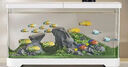 阔庭（KUOTING）鱼缸桌面透明生态鱼缸客厅水族箱白色 实拍图