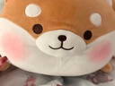 名创优品（MINISO）趣味阿柴趴姿毛绒公仔玩偶抱枕玩具靠枕娃娃送礼儿童生日礼物女 实拍图