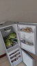 上菱183升双开门冰箱小型出租房2-3人用 出租屋家用两门二门小户型双门电冰箱以旧换新BCD-183D 实拍图