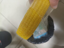 都乐Dole 吉林即食甜玉米棒2.4斤装6根 单根200g 软糯香甜 包邮 实拍图
