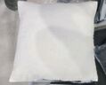 艾薇高弹沙发抱枕芯 方枕芯汽车靠垫芯腰靠芯床头靠枕芯50*50cm单只装 实拍图