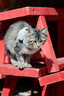 腾龙（Tamron）150-500mm F/5-6.7 Di III VC VXD防抖 拍鸟体育超长焦 尼康全画幅微单镜头 (尼康Z卡口) 滤镜套装 实拍图