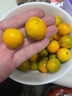 探味君 广西脆皮小金桔 应当季脆蜜滑黄皮小金桔橘桔子融安新鲜水果 净重2.8-3斤 中果（约45个/斤） 实拍图