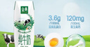 伊利【新鲜日期】金典纯牛奶整箱 250ml*16盒 3.6g乳蛋白 年货礼盒装 实拍图