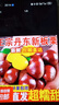 东东农场专供25年丹东新板栗现摘鲜板栗0.5斤炒菜专用新鲜蔬菜生鲜家常必备 实拍图