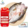 仙泉湖三去白蕉海鲈鱼 400g/条净膛冷冻刺少肉厚特产年货食材生鲜水产 实拍图
