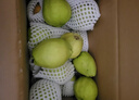 京鲜生 新疆库尔勒香梨 净重10斤 特级 单果120g以上 生鲜水果 实拍图