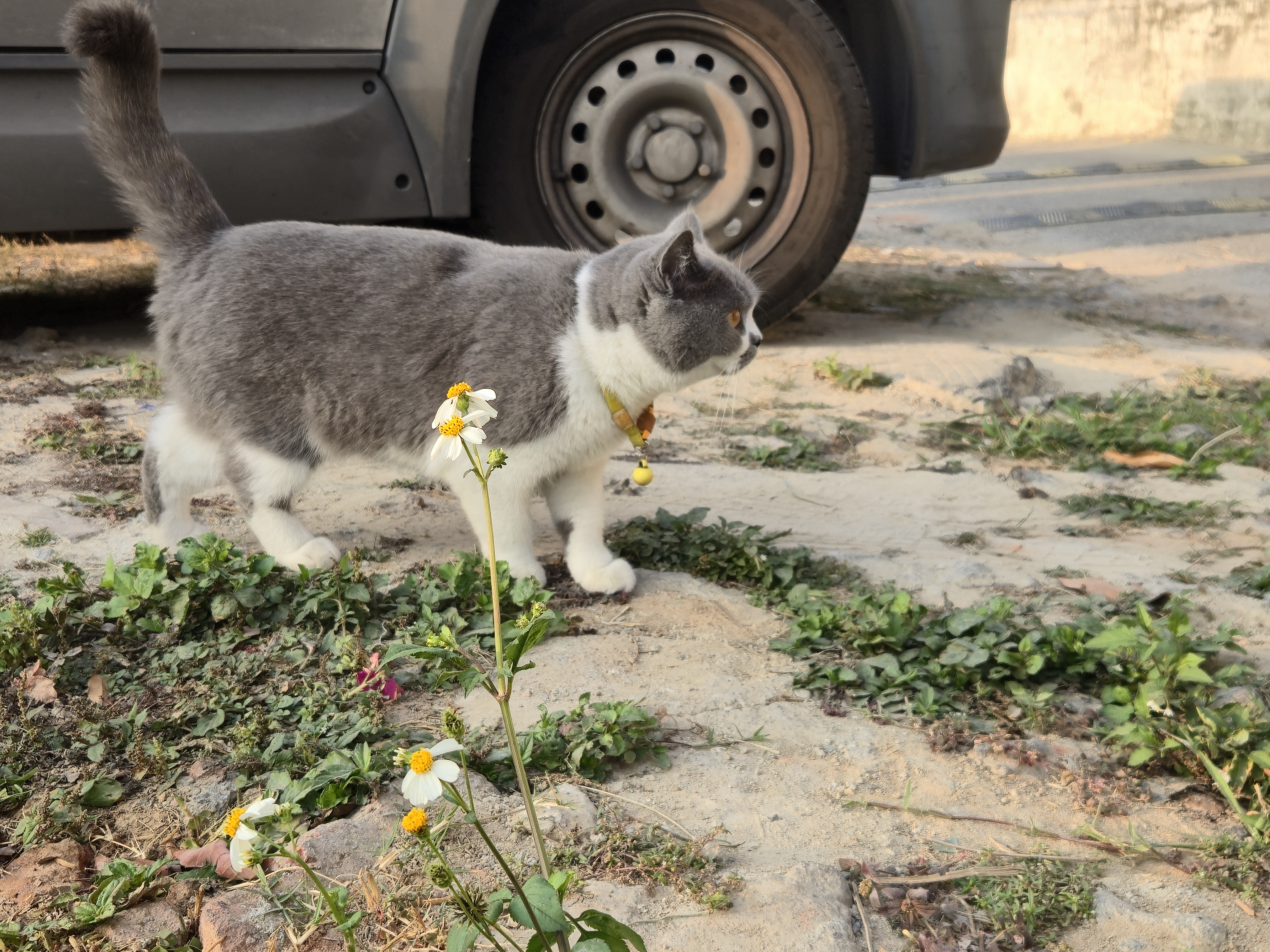 万宝实木烤火炉取暖器家用暖脚器烤火箱电暖足家用烤火器办公室烤脚取暖器烘脚器电热烤火盆客厅 升级单人款35*30CM【智能控温-过热保护】 实拍图