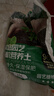贝意品营养土养花通用型种花种菜多肉植物花卉盆栽兰花专用有机营养土泥 实拍图