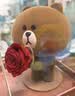 JoyFlower布朗熊永生花玫瑰熊礼盒生日礼物送女生朋友老婆纪念日结婚走心 实拍图