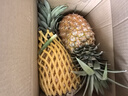 京鲜生 海南金钻凤梨  2个装 单果2斤起  生鲜水果 实拍图