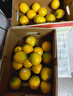 褚橙旗下云冠橙褚时健励志橙子云南冰糖橙10斤礼盒当季新鲜水果 云冠橙特级XL10斤礼盒【26个左右】 实拍图