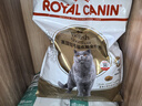 皇家猫粮 英短成猫粮 BS34 通用粮 12月以上 10KG 实拍图