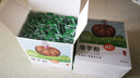 丙田 纯化魔芋粉150g 代餐饱腹魔芋精面粉烘焙膳食纤维粉冲泡固体饮料 实拍图