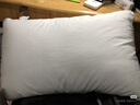 水星家纺枕头枕芯酒店枕头护颈枕头芯家用一对纯棉抗菌可水洗中枕48x74cm 实拍图