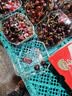 洁丽雅（Grace）包跟棉拖鞋男士冬季室内居家用加绒保暖防滑厚底棉鞋男冬天 实拍图