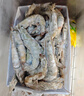 鲜京采 渤海湾有机盐田海白虾 净重3斤  单冻 75-90只/盒 年货送礼 实拍图