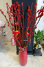 银柳真花鲜枝干花摆件室内客厅鲜花绿植新年年宵花卉植物过年春节 套装【60厘米20支+花瓶+2个灯笼 实拍图