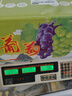 阳光玫瑰葡萄晴王青提香水提子山西新鲜水果一斤也是批发价 带箱5斤大果【单果克重10g-20g】（净重约4.5斤） 实拍图