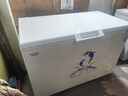 澳柯玛（AUCMA）401升单温冷柜家用卧式大冰柜雪糕柜冷藏柜冷冻柜顶开门冰箱一级能效 BC/BD-401HNEV 以旧换新 实拍图