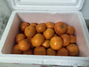 京鲜生 正宗广西砂糖桔4.5斤装 单果35mm+ 花皮 水果年货 源头直发包邮 实拍图