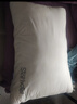 洁丽雅A类新疆棉面料枕头颈椎枕成人睡觉专用枕芯可水洗男女枕芯护颈枕 白色【新疆棉面料】 48*74cm【中枕一对】 实拍图