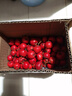 新鲜山楂果大山楂鲜果红果鲜山楂大果山里红冰糖葫芦现摘-盛禾田 甜红子山楂2斤装 实拍图