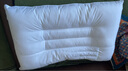 富安娜京爆 枕头芯颈椎枕芯决明子成人枕头两只深度睡眠枕一对装74*48cm 实拍图
