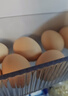 京鲜生 无抗保洁鲜鸡蛋30枚/盒 健康轻食 礼盒送礼 1.5kg/盒 源头直发 实拍图