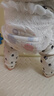 好奇（Huggies）金装拉拉裤L124片(9-14kg)尿不湿【速干不易红】 实拍图