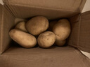 京喜加新鲜黄心土豆农家自种黄皮马铃薯黄心洋芋新鲜蔬菜 2斤 实拍图