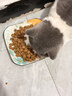 皇家猫粮 英短成猫粮 BS34 通用粮 12月以上 10KG 实拍图