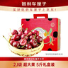 京鲜生 智利进口车厘子2J级5斤礼盒装果径约28-30mm【赠送卡尺】 实拍图