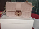 CHARINE&KATH 小&ck女包蜜桃粉法式腋下包包女小众百搭高级感链条斜挎单肩包女 粉色 专柜礼盒装 实拍图