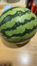 京鲜生 无籽麒麟西瓜 1粒装 单果5-7斤 生鲜水果  实拍图