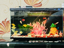 米家小米米家智能生态鱼缸还原自然生态补仓一次三月无忧出差旅行必备 实拍图