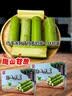 京觅陶山甘蔗 无节精品装 4.8斤 青皮甘蔗 新鲜甘蔗 源头直发 实拍图