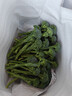 京鲜生云南羽衣甘蓝净重2斤 新鲜现摘现发榨汁凉拌低卡健康轻食源头直发 实拍图