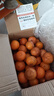尔蝶广西沃柑新鲜橘子当季时令水果桔子整箱砂糖蜜橘柑橘应季水果礼盒 精选9斤装 净重8.5斤 大果60-70mm 实拍图