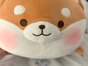 名创优品（MINISO）趣味阿柴趴姿毛绒公仔玩偶抱枕玩具靠枕娃娃送礼儿童生日礼物女 实拍图